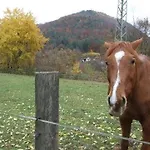 Lägenhet Haus Pfaffenfels *