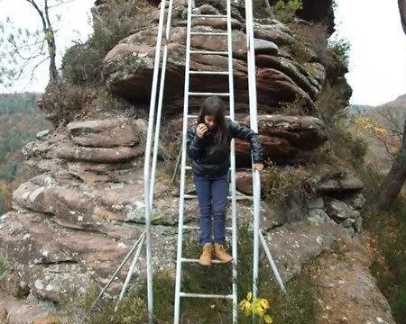 Apartment Haus Pfaffenfels Schonau (Rhineland-Palatinate)