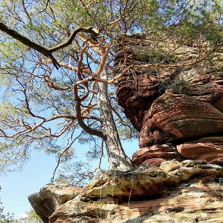 Haus Pfaffenfels Apartment Schonau (Rhineland-Palatinate)