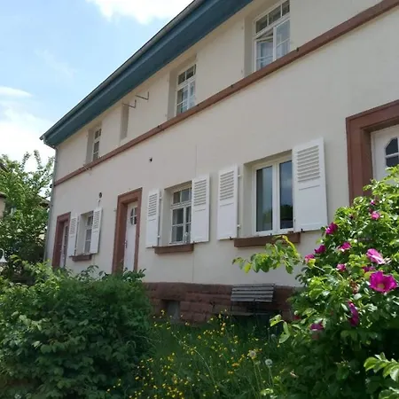 Haus Pfaffenfels * Schonau (Rhineland-Palatinate)