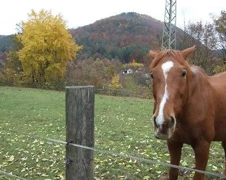 Apartment Haus Pfaffenfels *