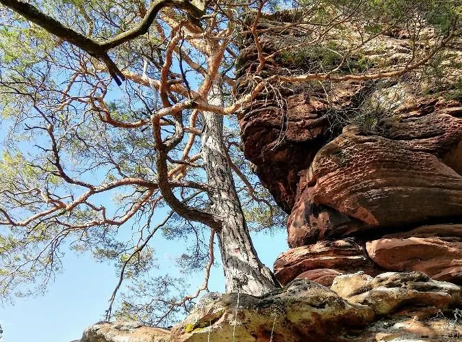 Haus Pfaffenfels Apartmán Schönau