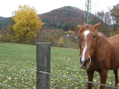 Apartmán Haus Pfaffenfels *